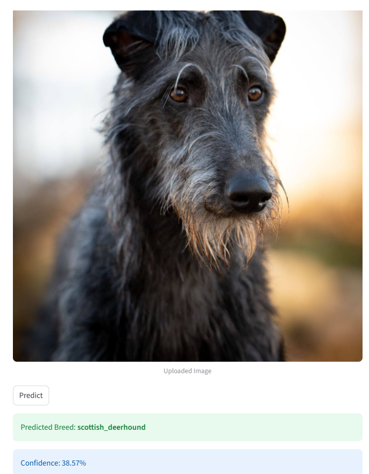 Dog Breed Classification CNN screenshot 1 of 1